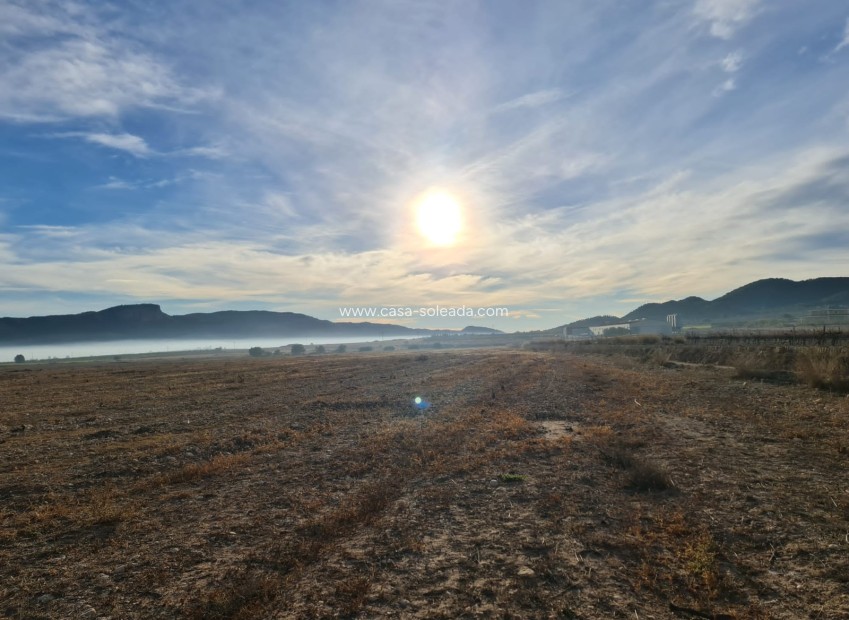 Resale - Land - Monóvar - Inland