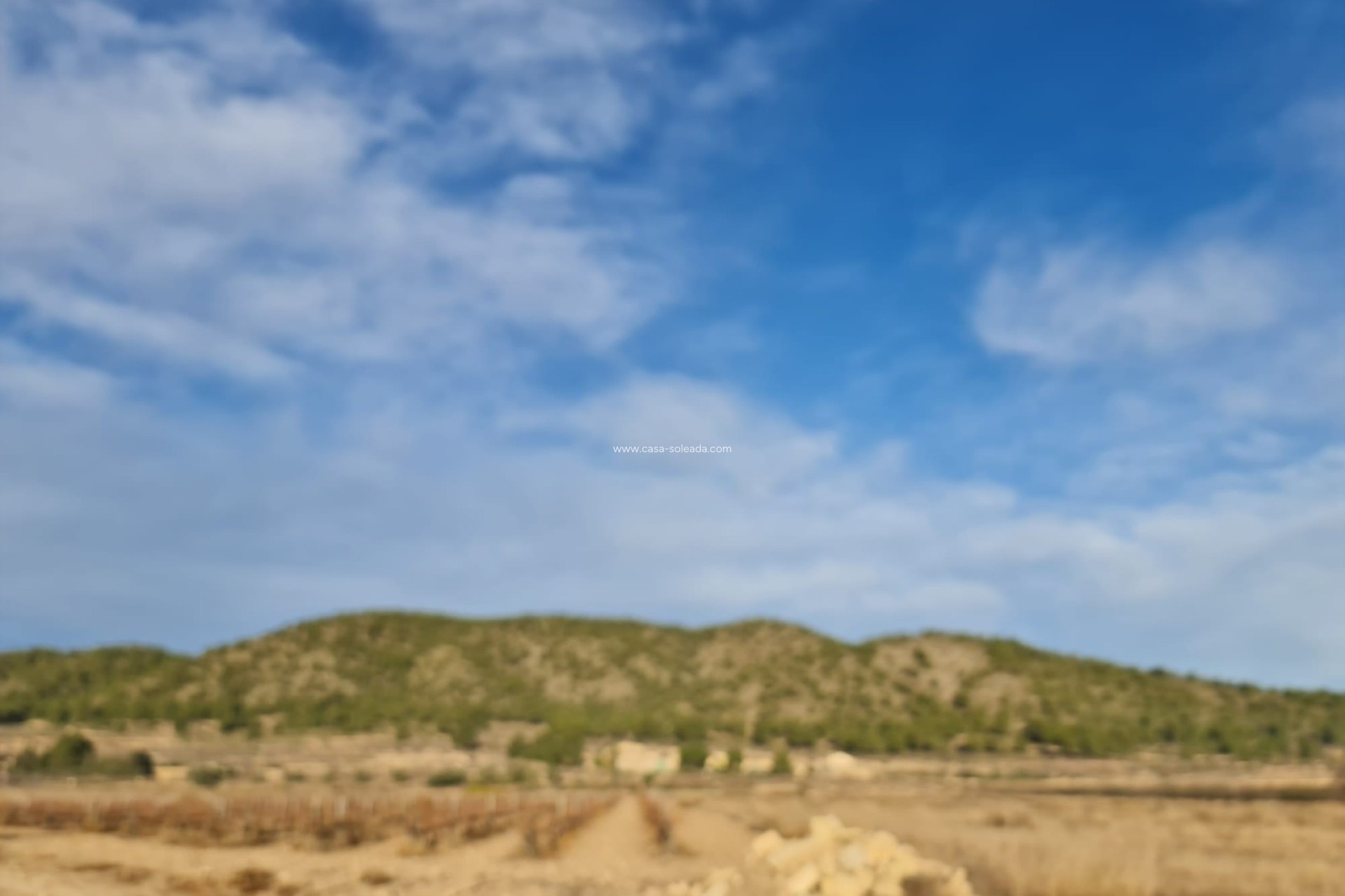 Resale - Land - Monóvar - Inland
