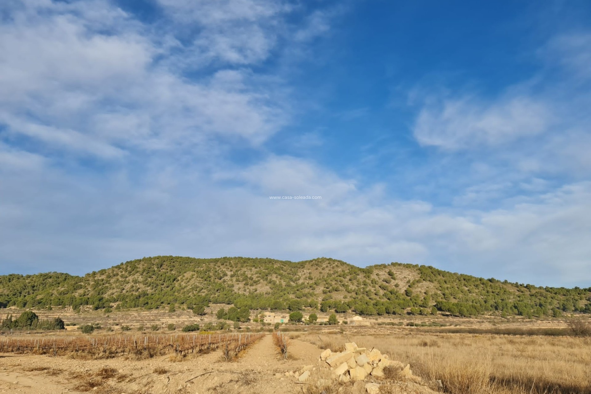 Resale - Land - Monóvar - Inland