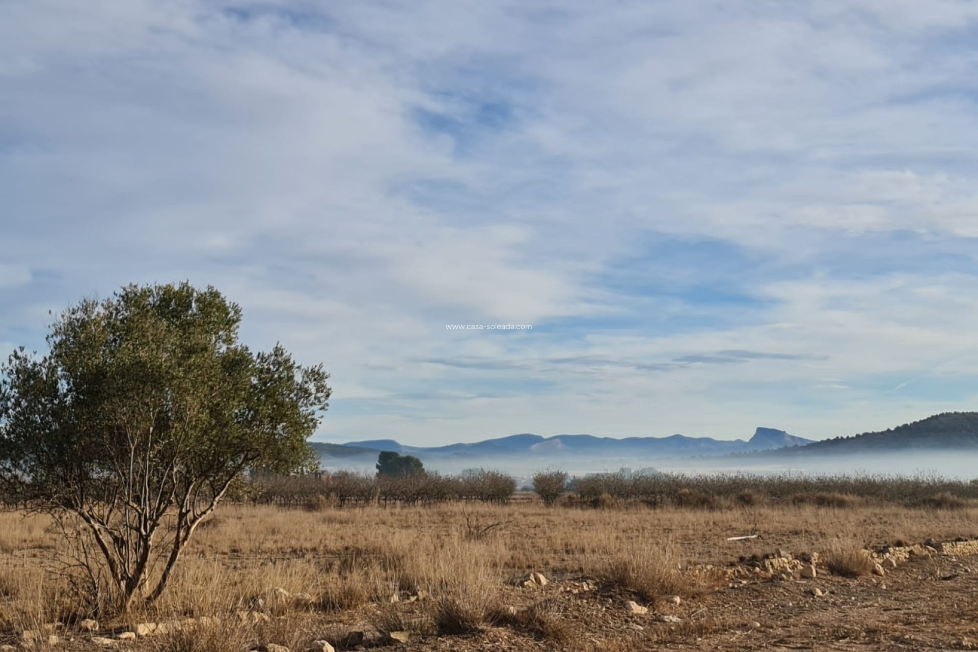 Resale - Land - Monóvar - Inland