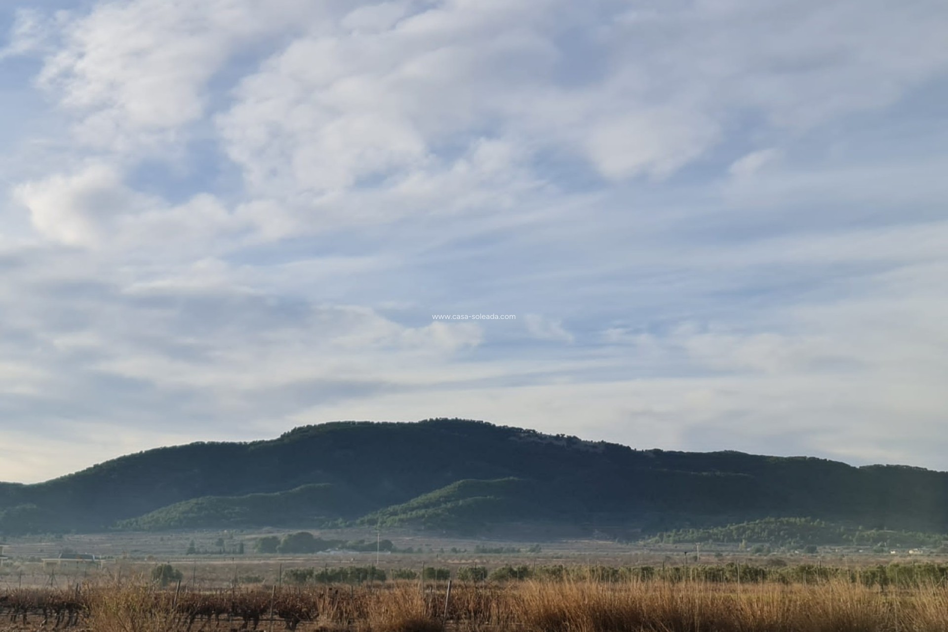 Resale - Land - Monóvar - Inland