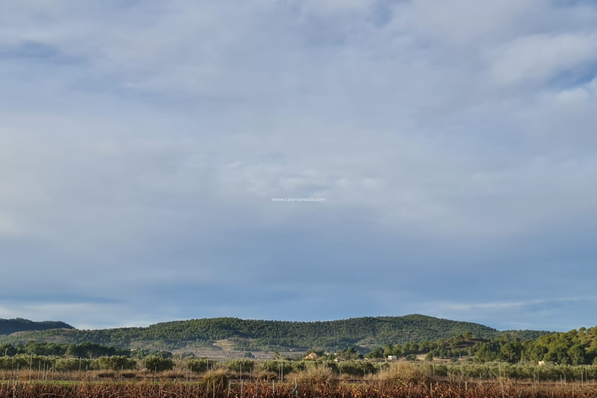 Resale - Land - Monóvar - Inland