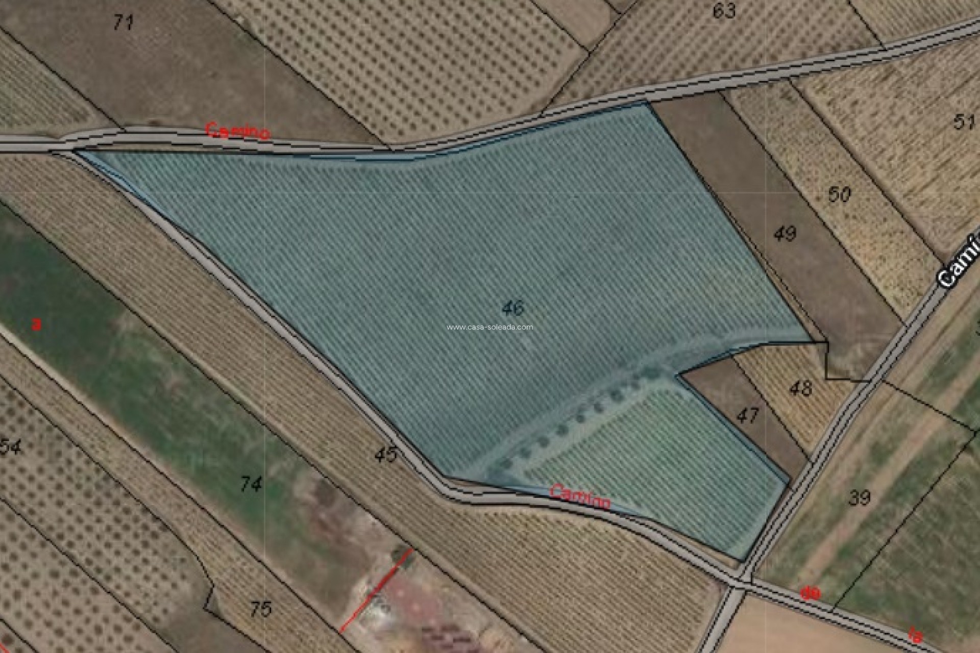Resale - Land - Monóvar - Inland