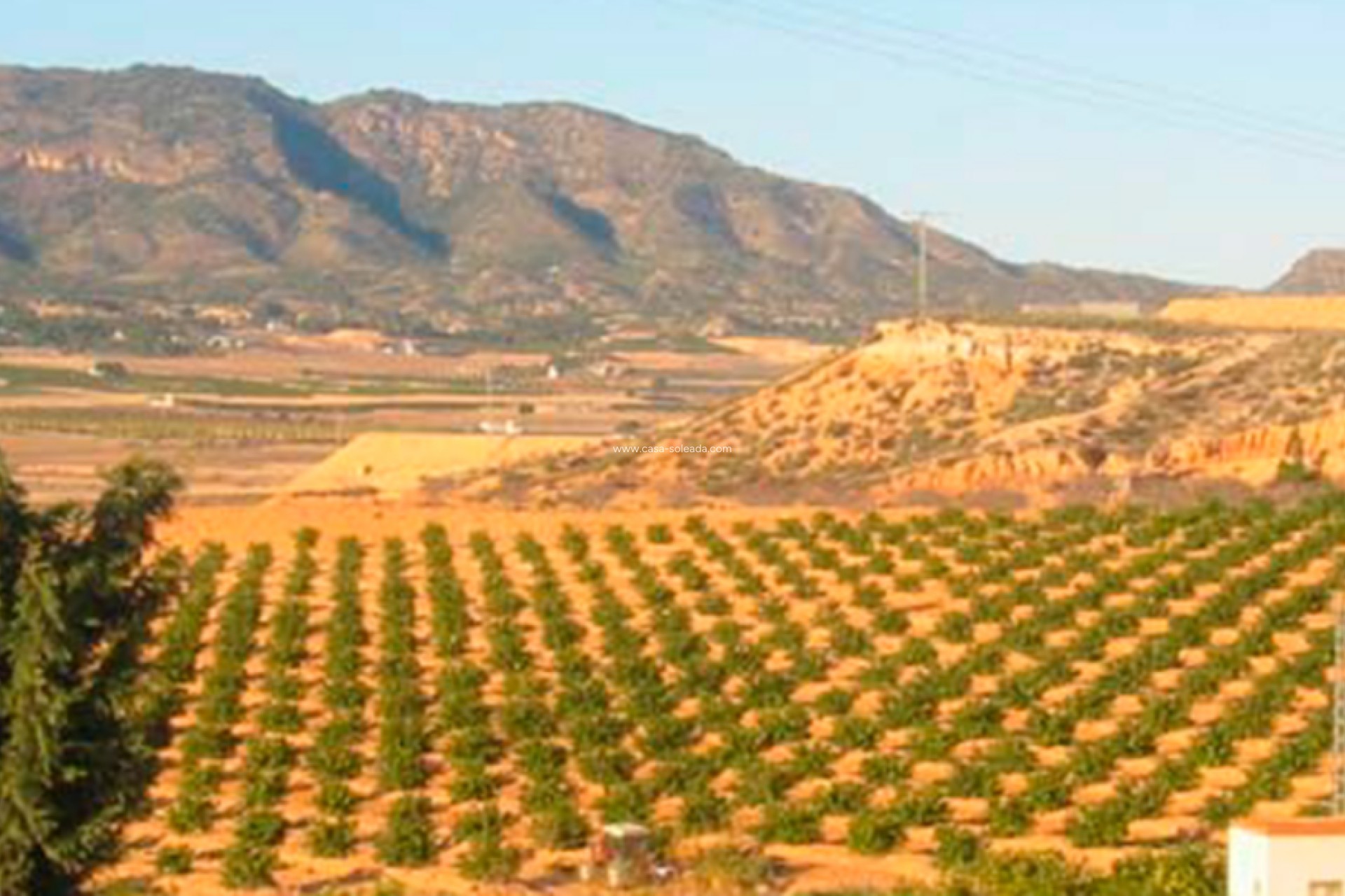 Resale - Land - Torre Pacheco