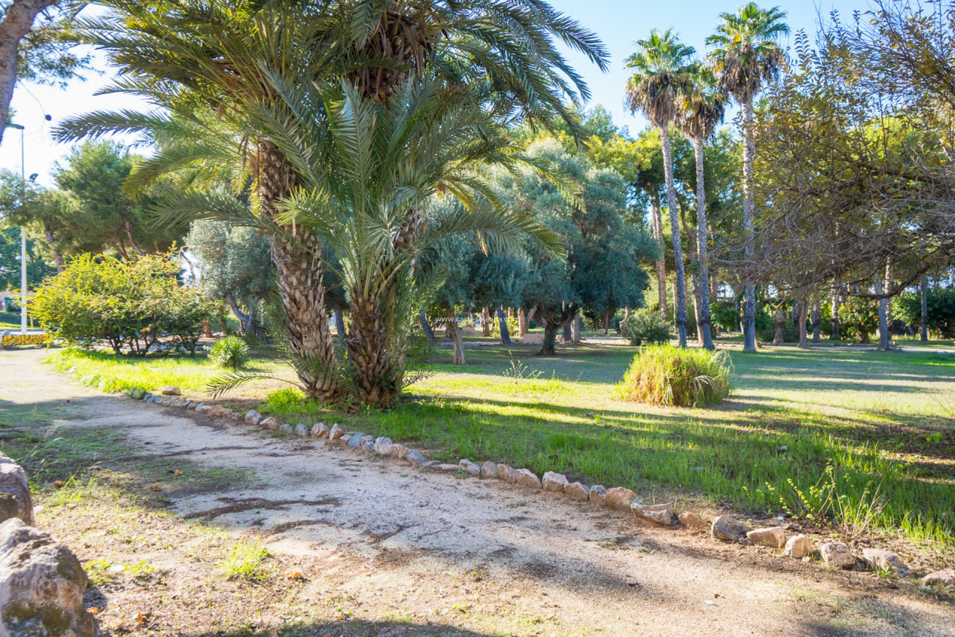 Resale - Studio - Torrevieja - Beach