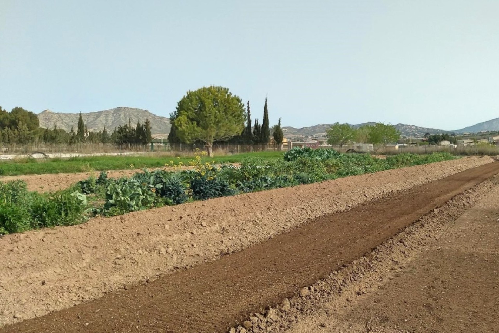 Resale - Villa - Aspe - Inland