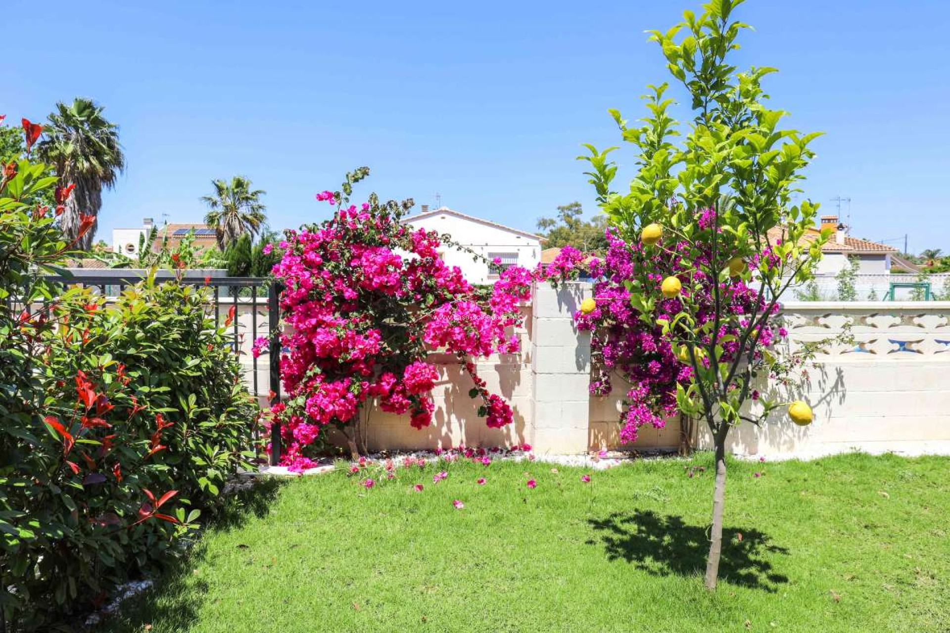 Resale - Villa - Denia - Costa Blanca