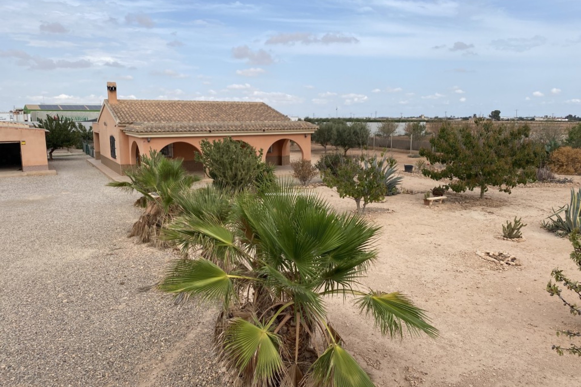 Resale - Villa - Fuente Alamo