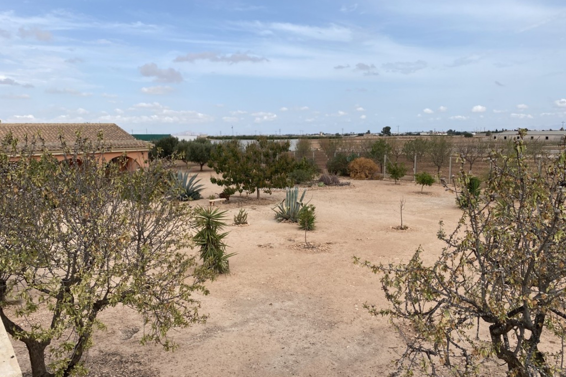 Resale - Villa - Fuente Alamo