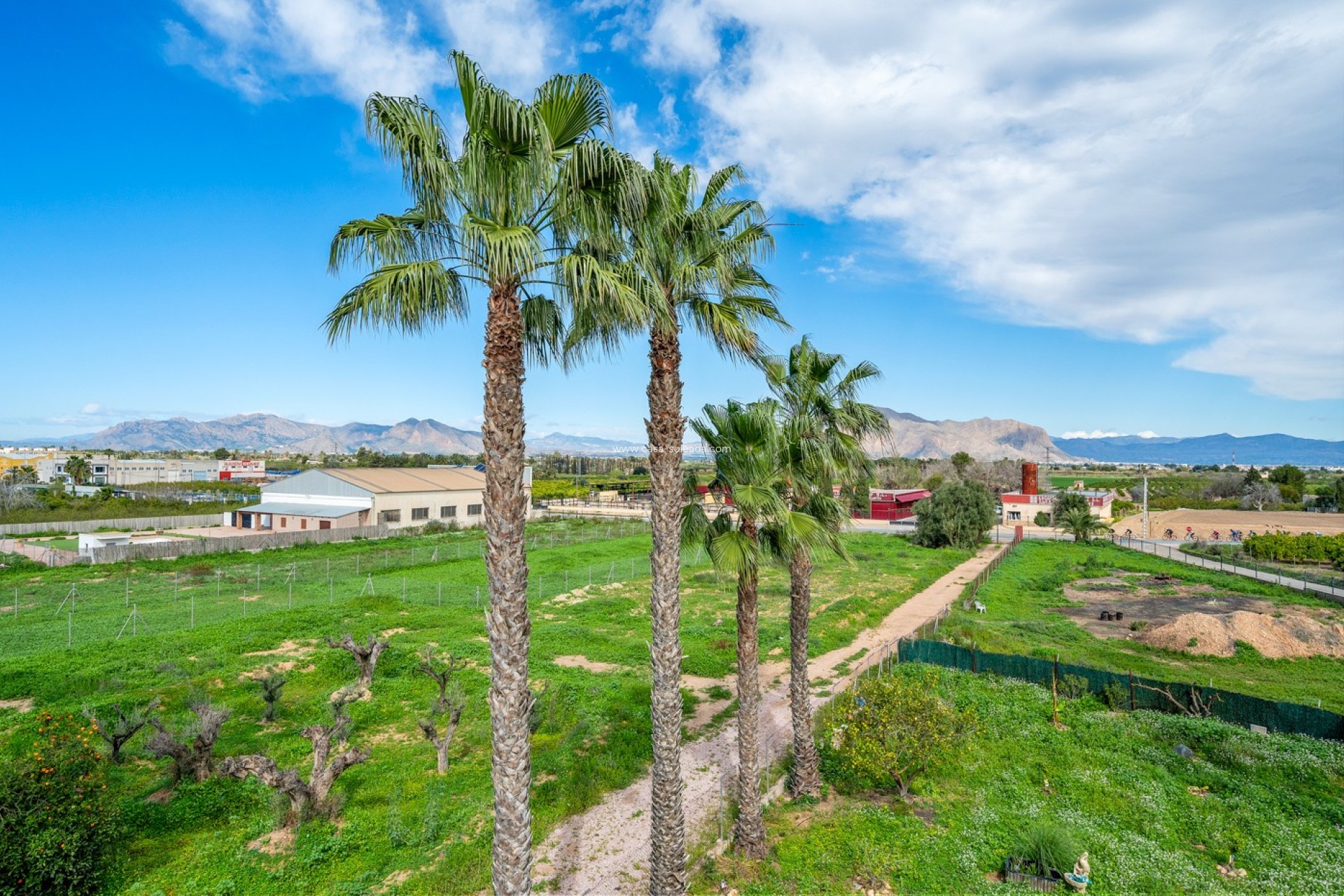 Resale - Villa - Jacarilla