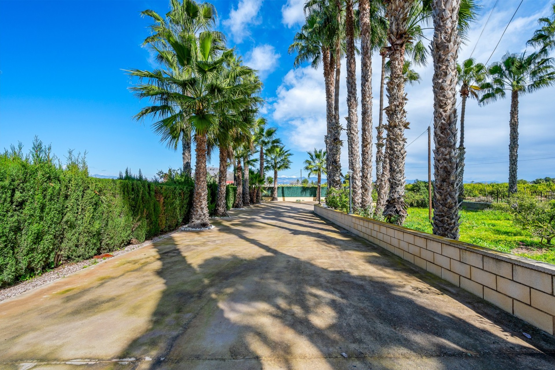 Resale - Villa - Jacarilla