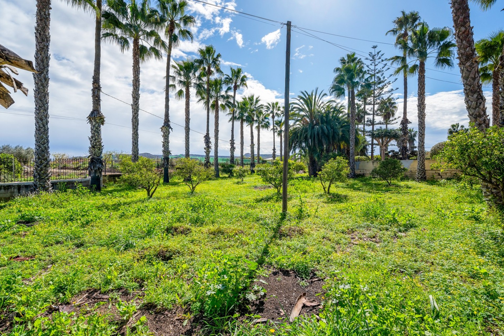 Resale - Villa - Jacarilla