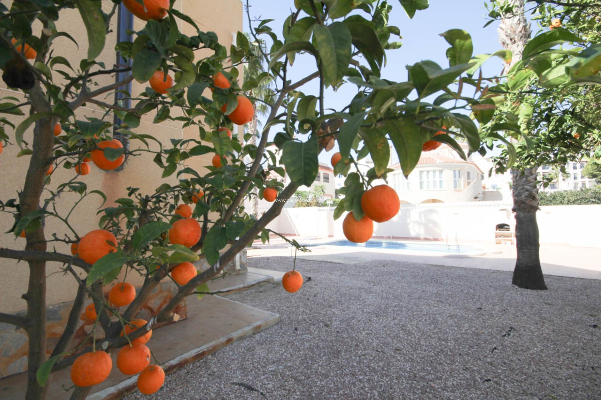 Resale - Villa - La Zenia