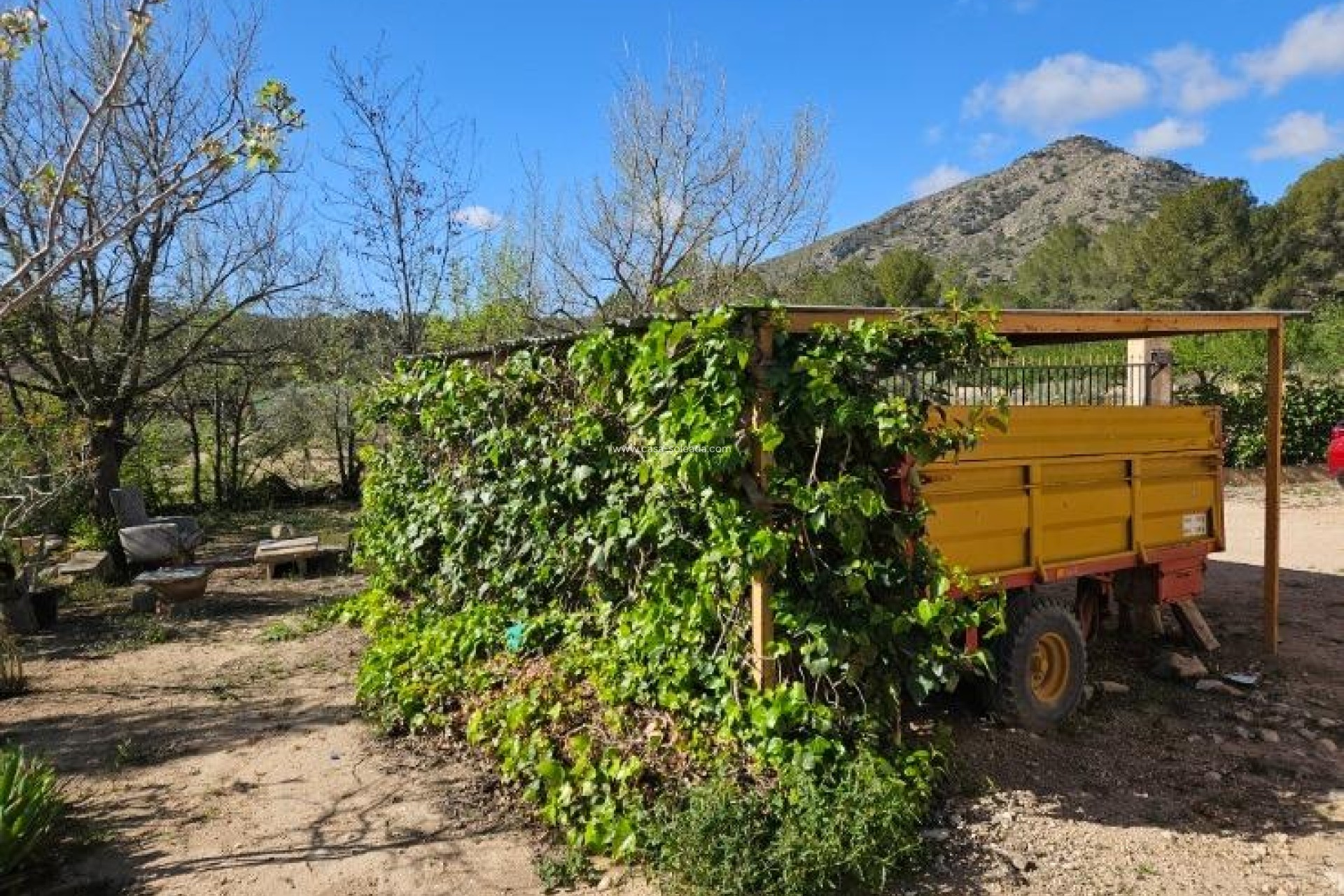 Resale - Villa - Monóvar - Comunidad Valenciana