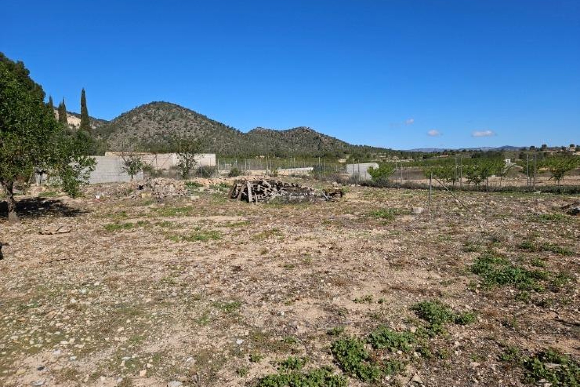 Resale - Villa - Monóvar - Comunidad Valenciana