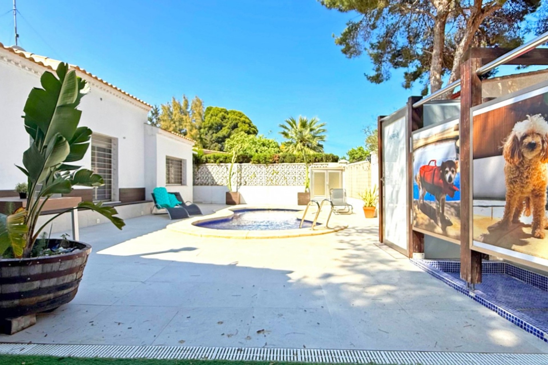 Resale - Villa - Orihuela Costa - Punta Prima