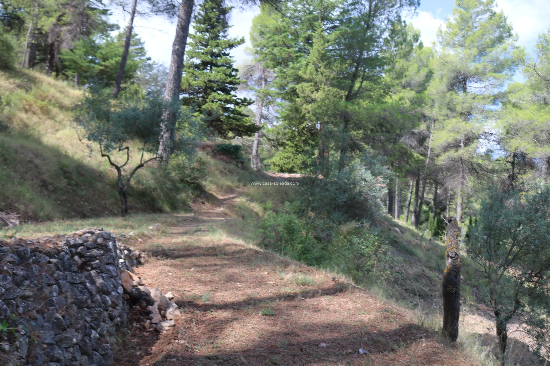 Resale - Villa - Penaguila - Inland