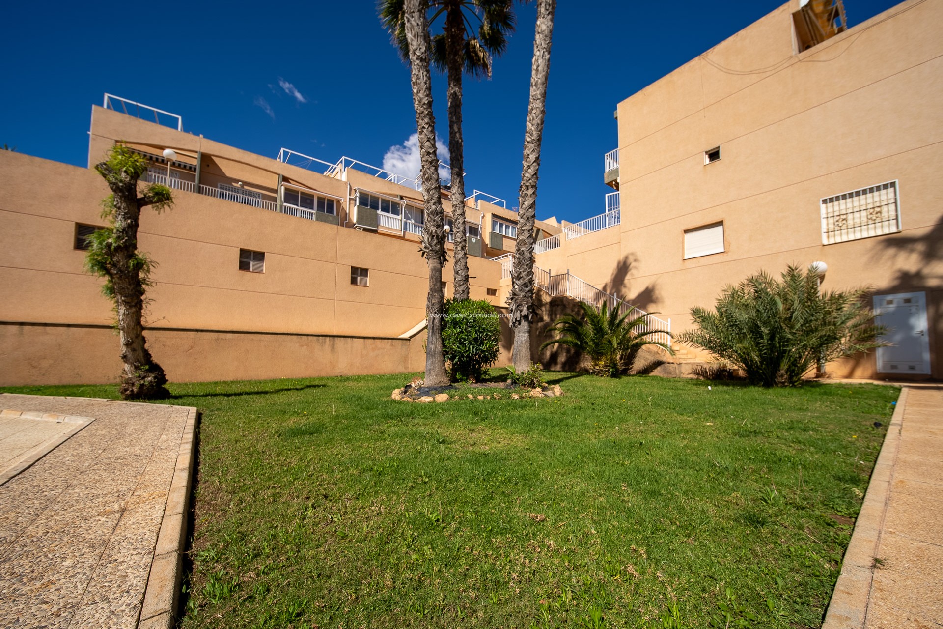 Resale - Villa - Torrevieja - Cabo cervera