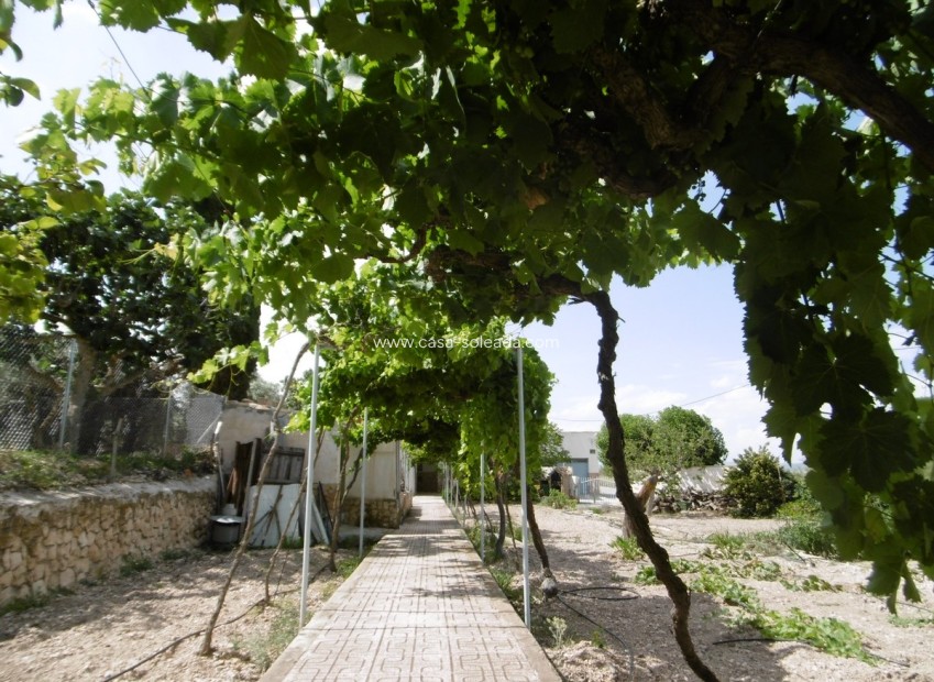 Resale - Villa - Yecla - Inland