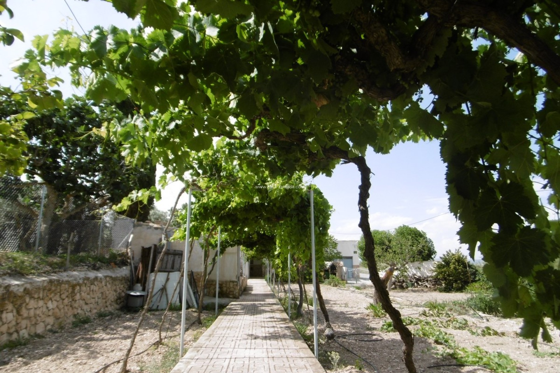 Resale - Villa - Yecla - Inland