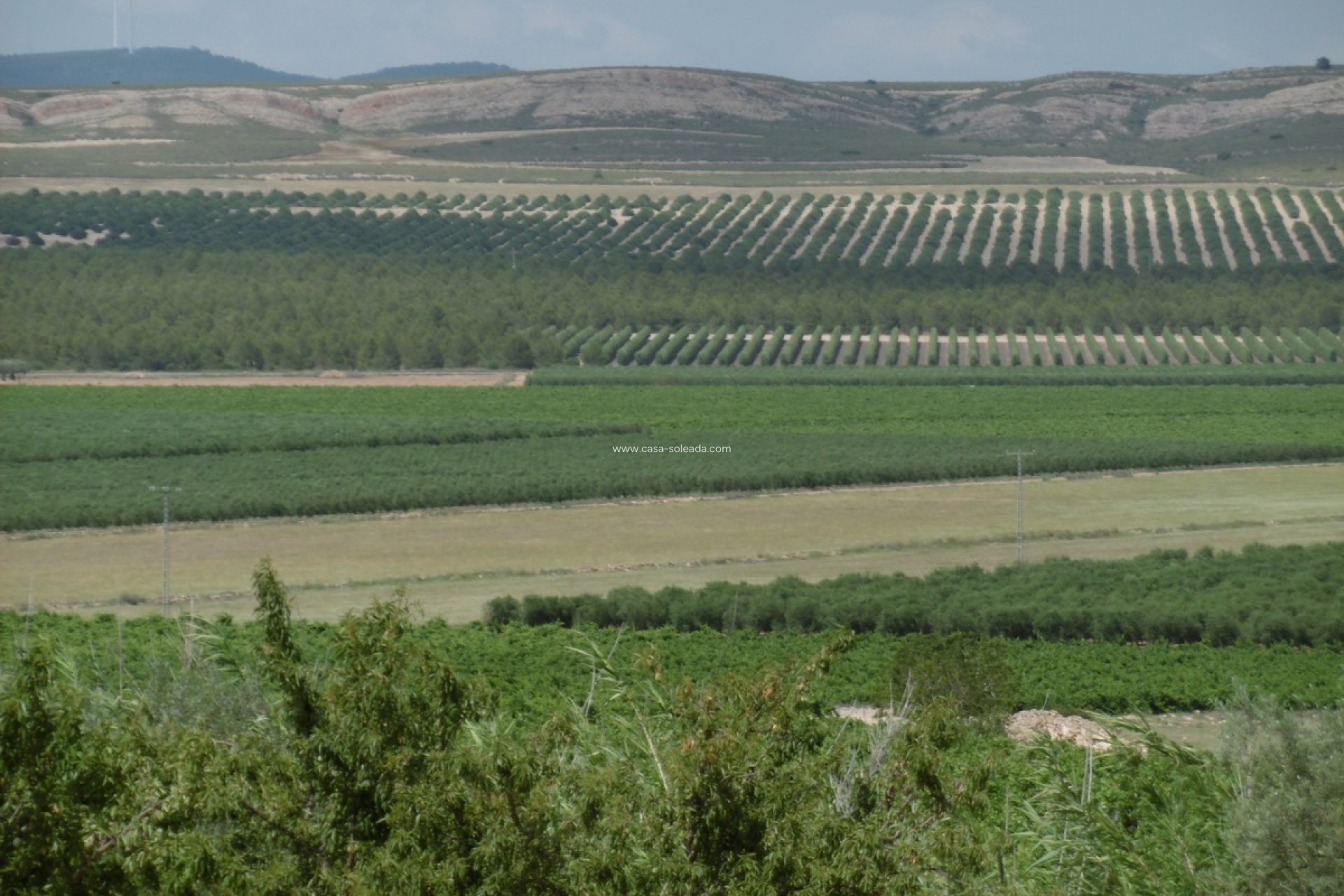 Resale - Villa - Yecla - Inland