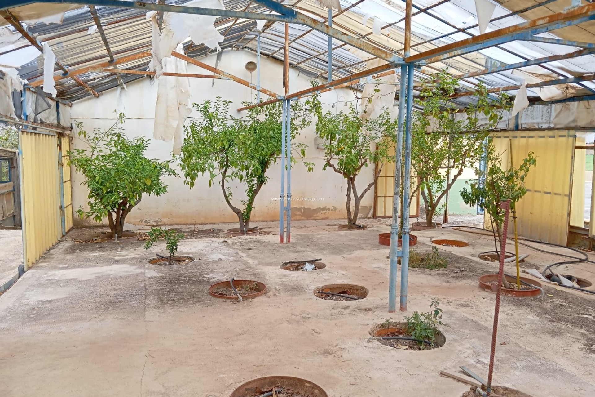 Resale - Villa - Yecla - Inland