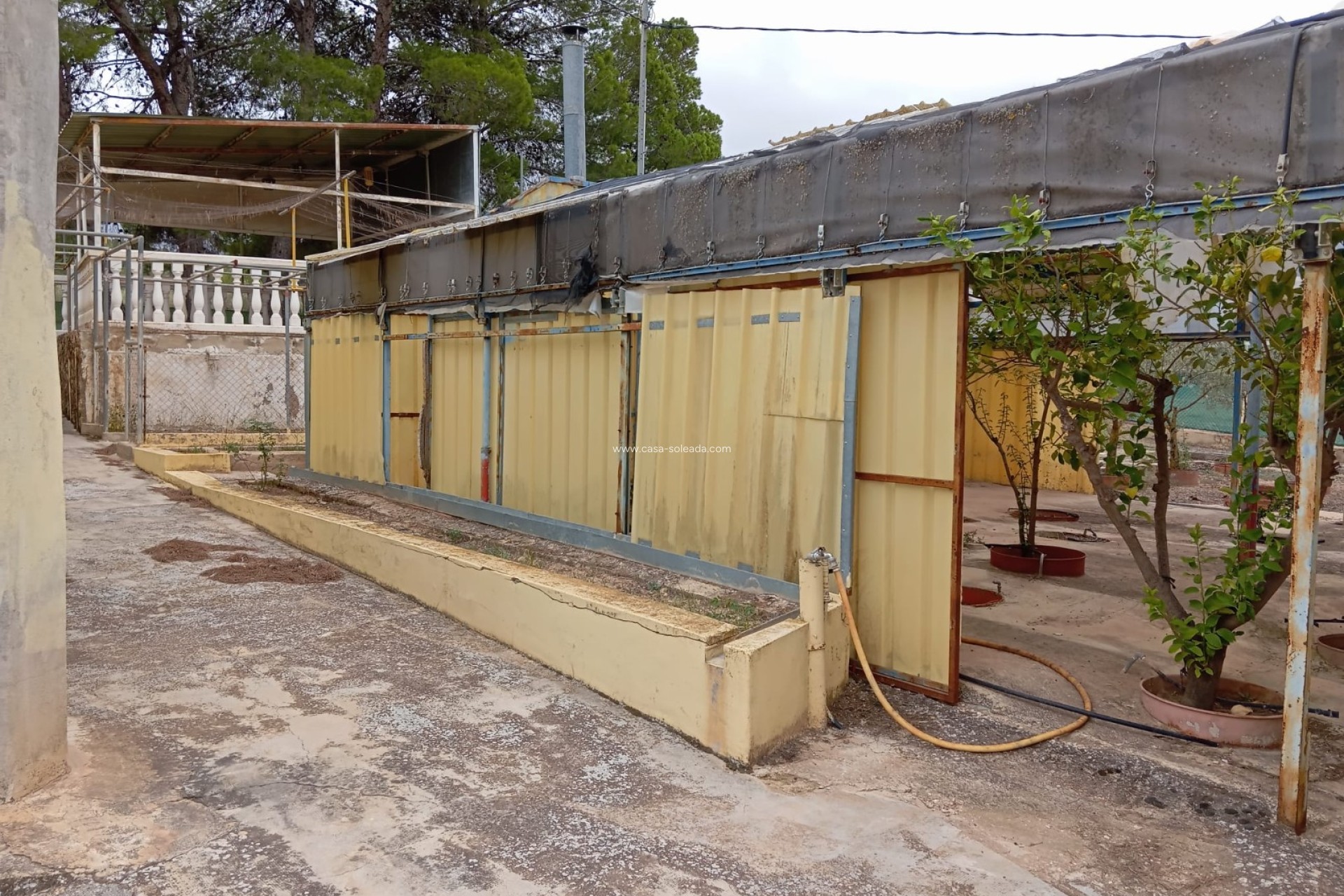 Resale - Villa - Yecla - Inland
