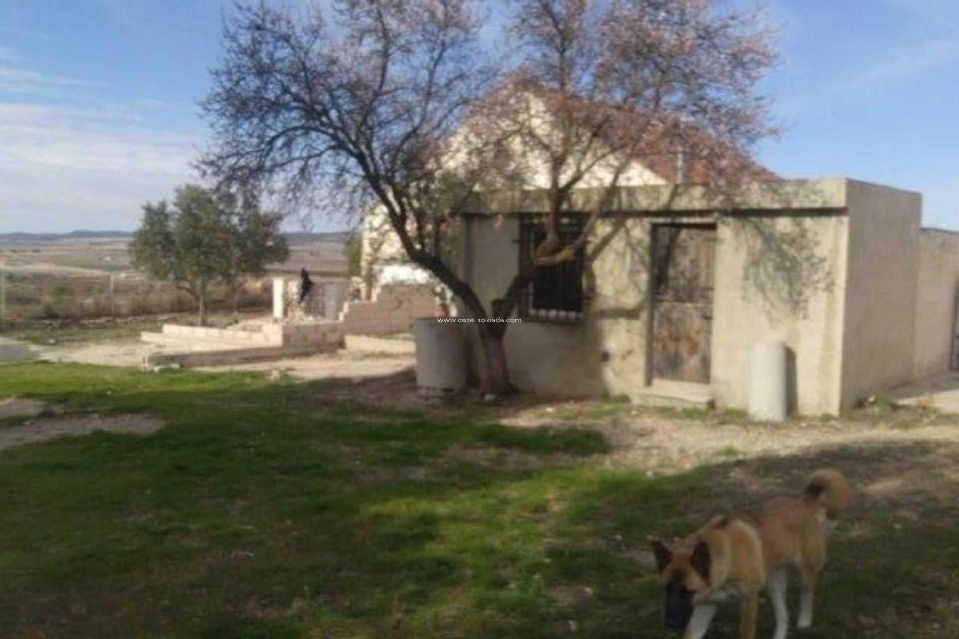 Resale - Villa - Yecla