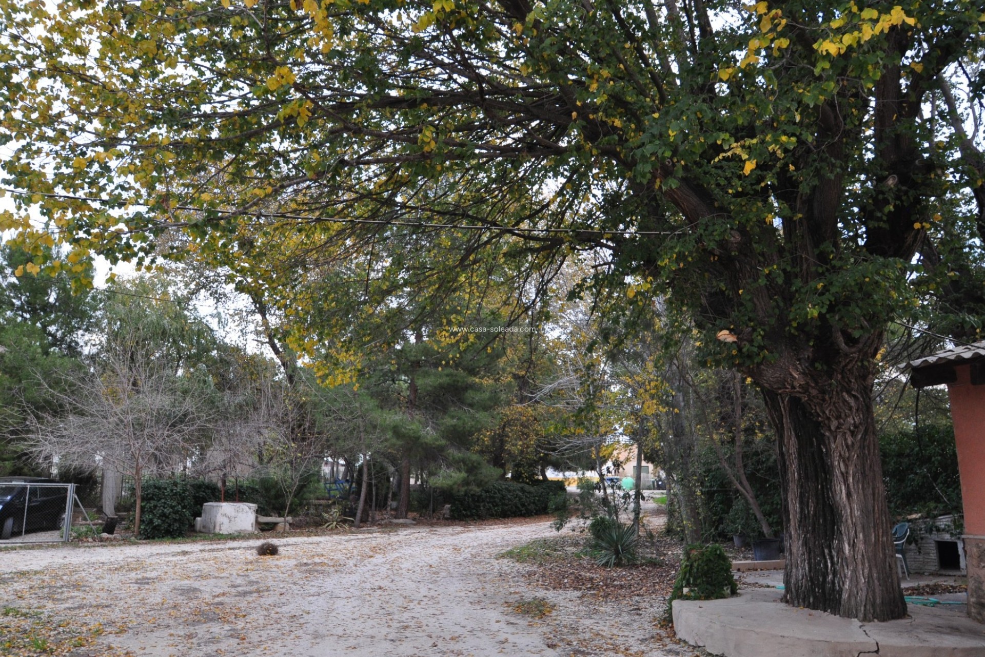Reventa - Adosado - Pinoso - Inland