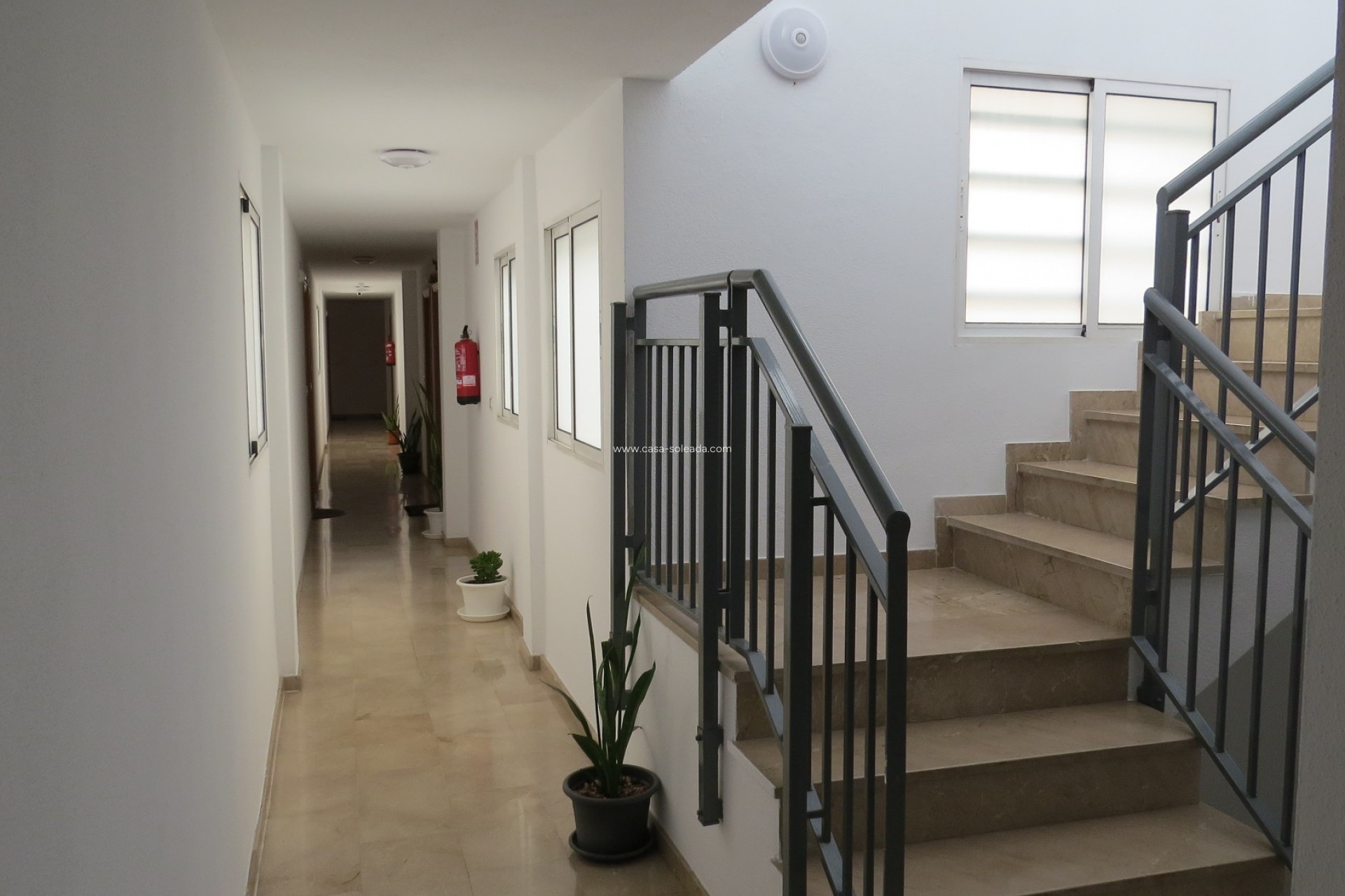Reventa - Apartamento / piso - Almoradí - Center
