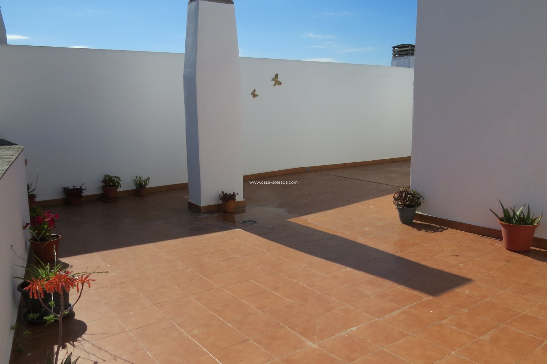 Reventa - Apartamento / piso - Almoradí - Center