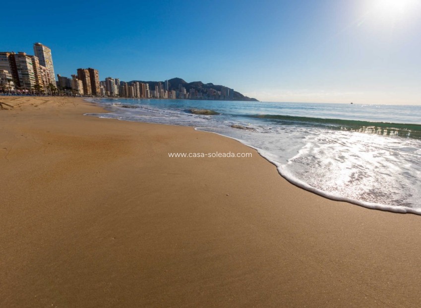 Reventa - Apartamento / piso - Benidorm - Costa Blanca