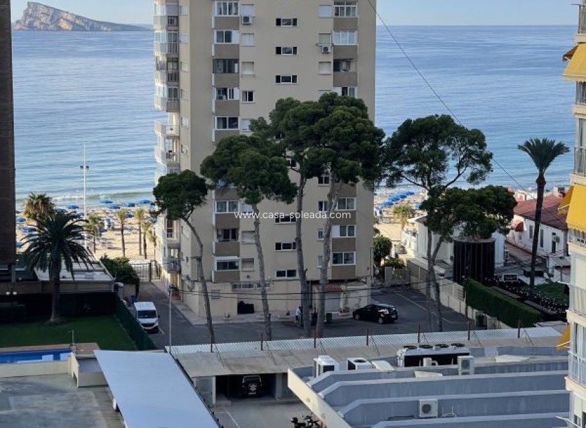 Reventa - Apartamento / piso - Benidorm - Costa Blanca