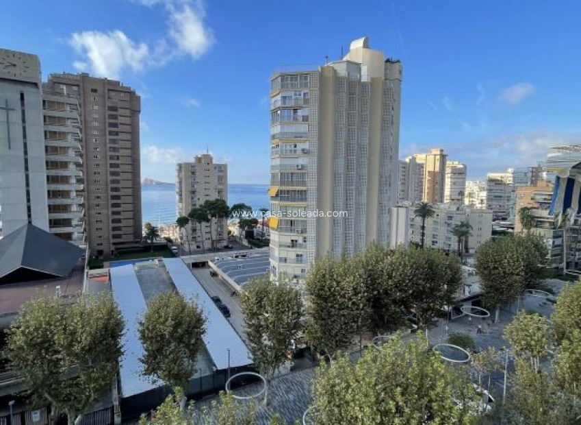 Reventa - Apartamento / piso - Benidorm - Costa Blanca