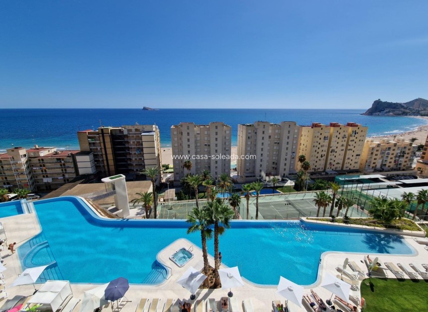 Reventa - Apartamento / piso - Benidorm - Poniente