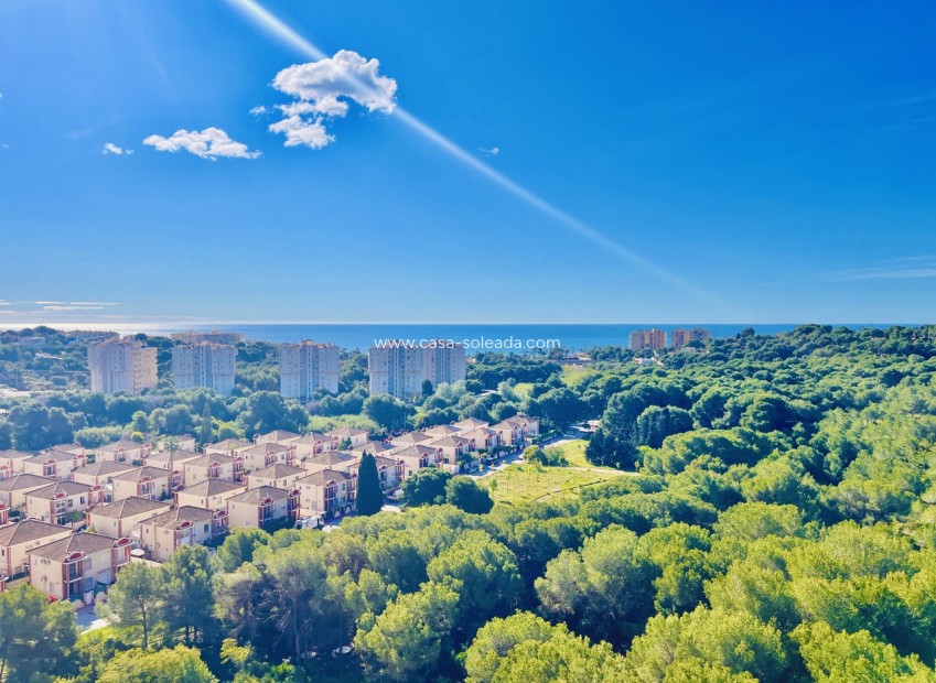 Reventa - Apartamento / piso - Dehesa De Campoamor - Costa Blanca