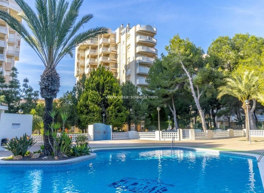 Reventa - Apartamento / piso - Orihuela Costa - Altos De Campoamor