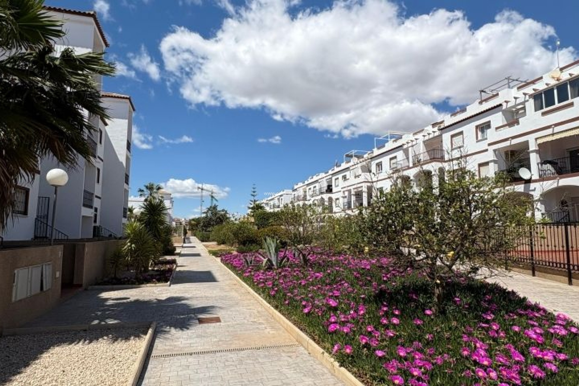 Reventa - Apartamento / piso - Orihuela Costa - Costa Blanca