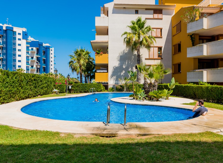 Reventa - Apartamento / piso - Punta Prima