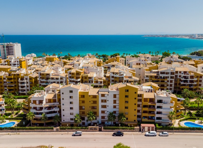 Reventa - Apartamento / piso - Punta Prima