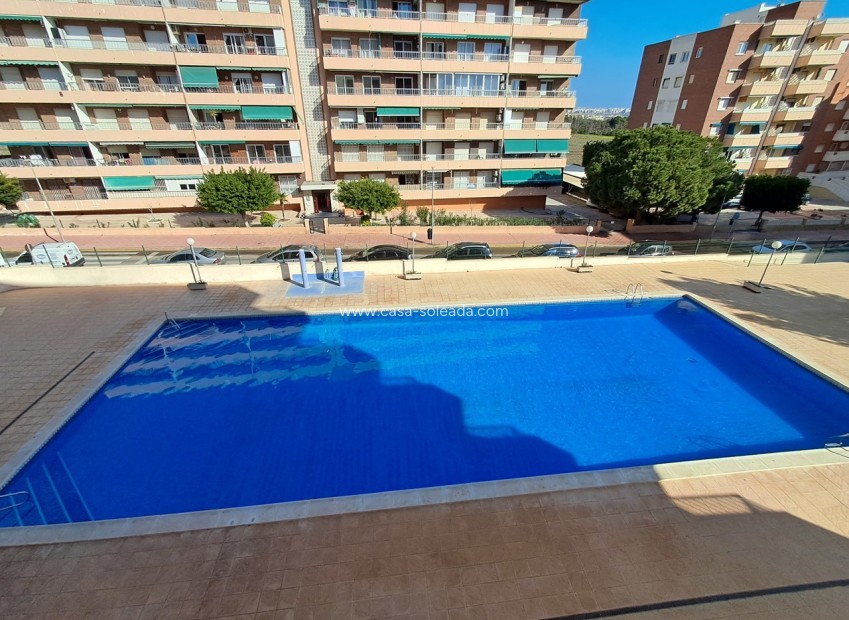 Reventa - Apartamento / piso - Punta Prima