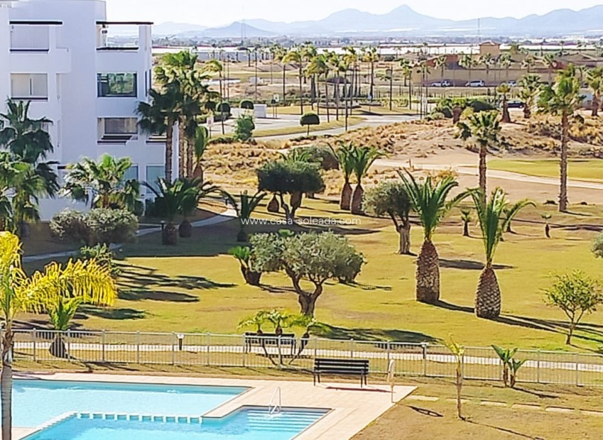 Reventa - Apartamento / piso - Torre Pacheco - Inland