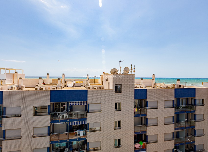 Reventa - Apartamento / piso - Torrevieja - Beach