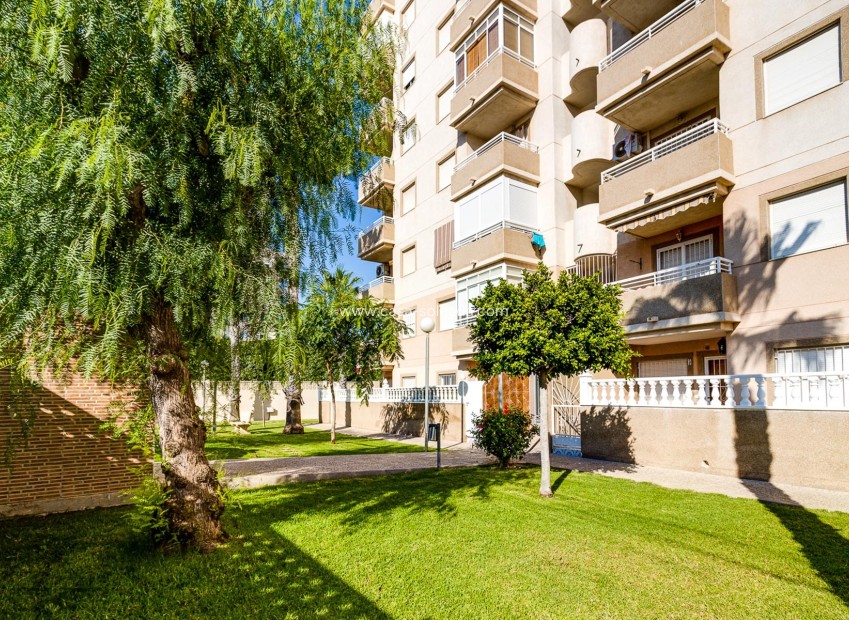 Reventa - Apartamento / piso - Torrevieja - Costa Blanca