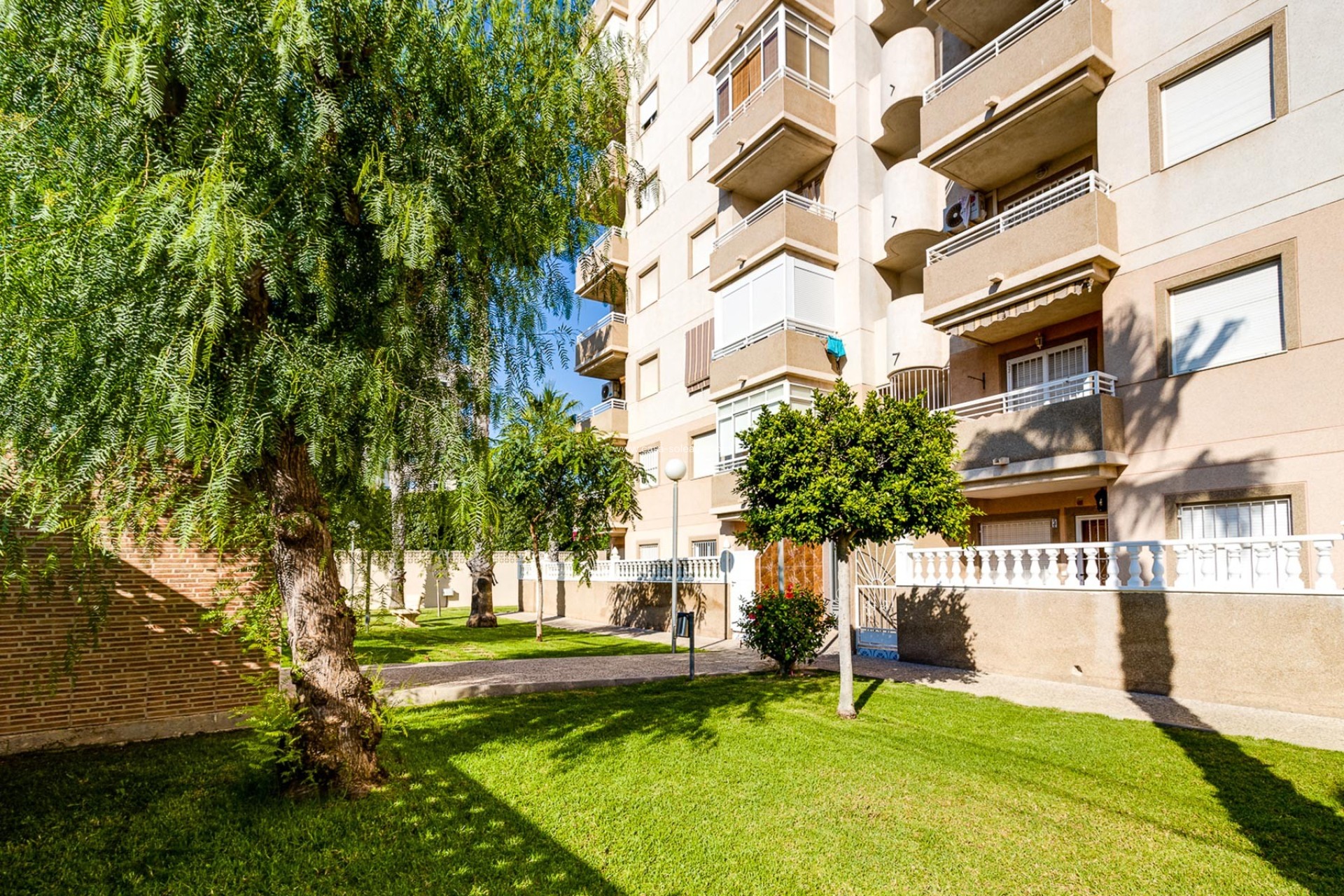 Reventa - Apartamento / piso - Torrevieja - Costa Blanca