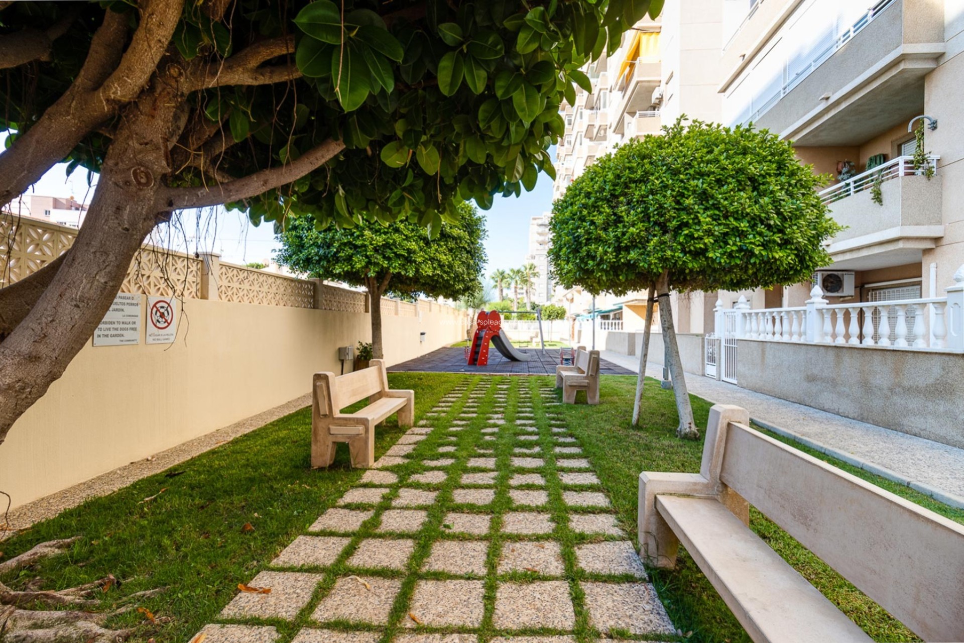Reventa - Apartamento / piso - Torrevieja - Costa Blanca