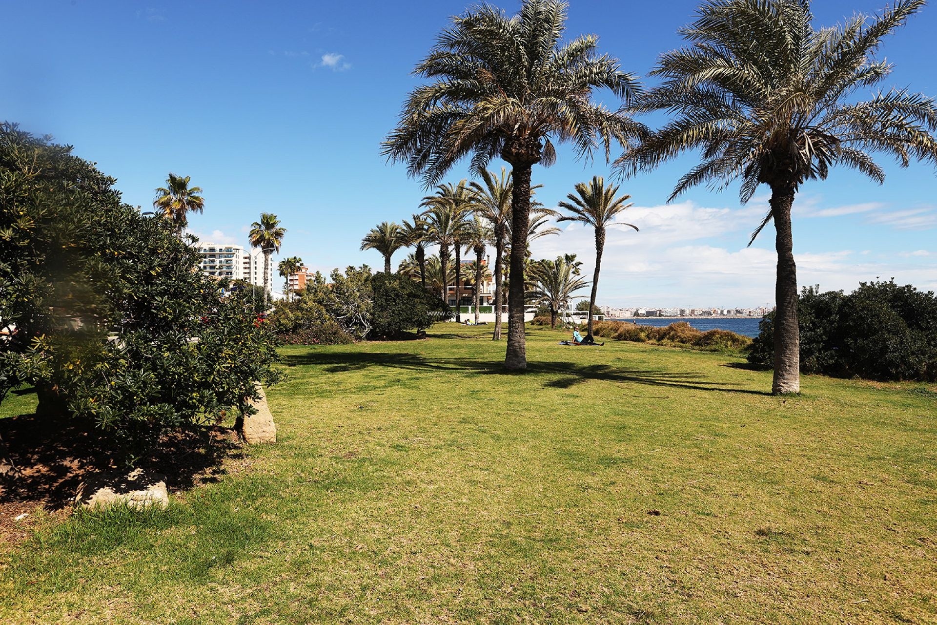 Reventa - Apartamento / piso - Torrevieja - Costa Blanca