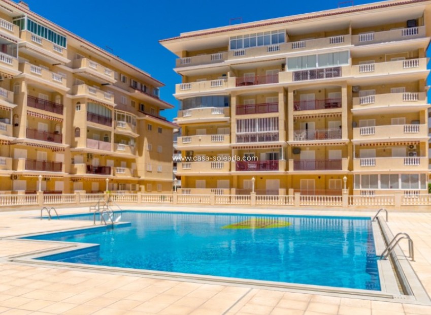 Reventa - Apartamento / piso - Torrevieja - Costa Blanca