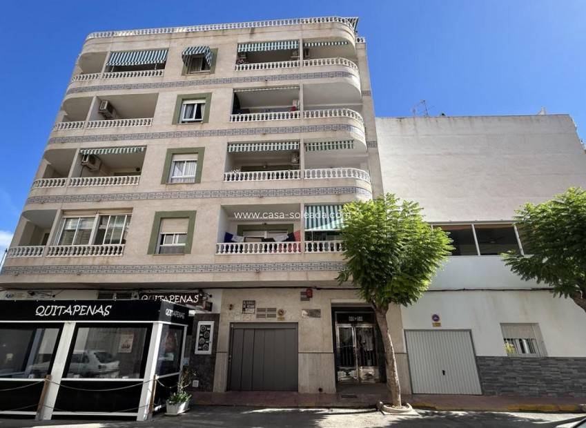 Reventa - Apartamento / piso - Torrevieja - Costa Blanca