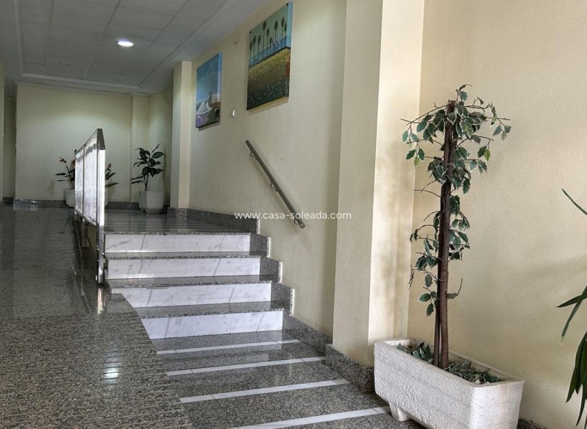 Reventa - Apartamento / piso - Torrevieja - Costa Blanca